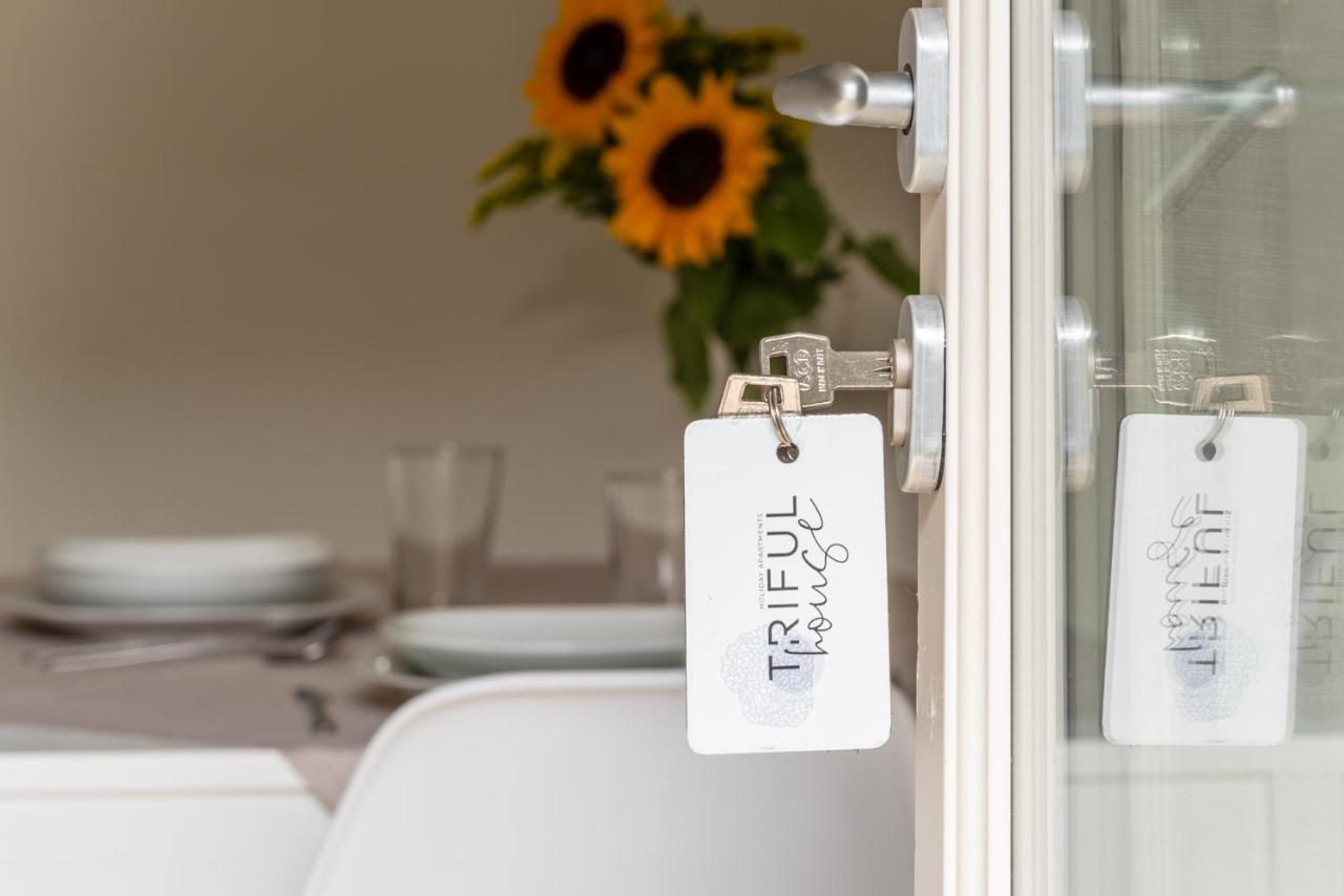 Trifulhouse Holiday Apartments Alba  Ngoại thất bức ảnh